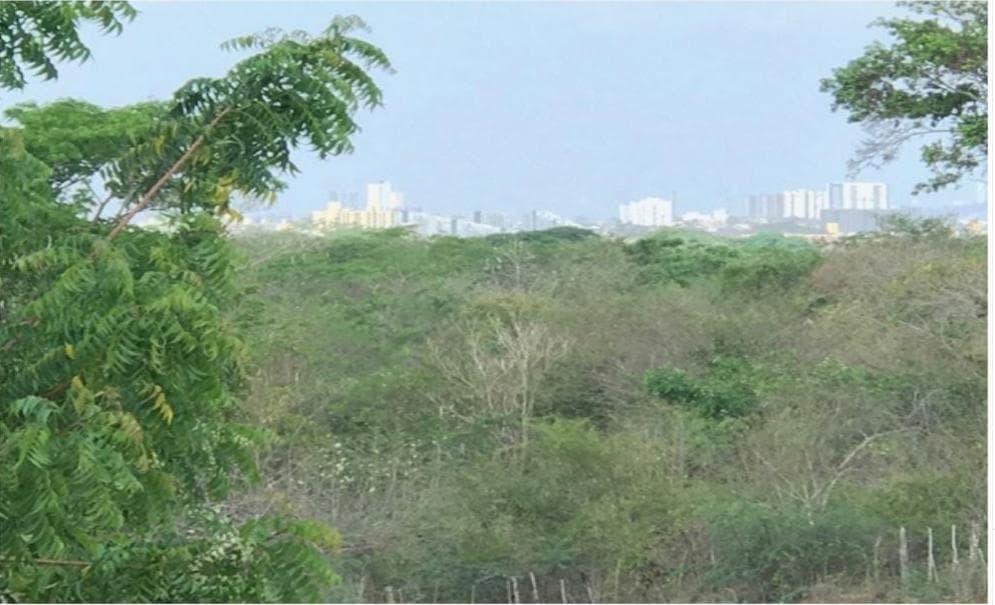 Venta de Lote para Proyecto de Bodegas, Comercial y Zona Franca — foto 2